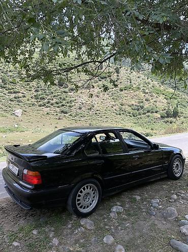 bwm e60: BMW 3 series: 1991 г., 2.5 л, Механика, Бензин, Седан — 4