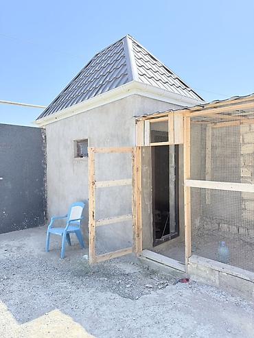 sumqayit 6 ci mikrorayon: 4 otaqlı, 170 kv. m, Təmirsiz — 6