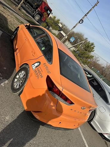 Hyundai: Hyundai Sonata: 2019 г., 2 л, Автомат, Газ, Седан — 7