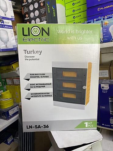 Электрический щит, Пластиковые, Lion Electric