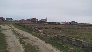 Torpaq: 6 sot, Biznes üçün, Makler, Kupça (Çıxarış) — 2