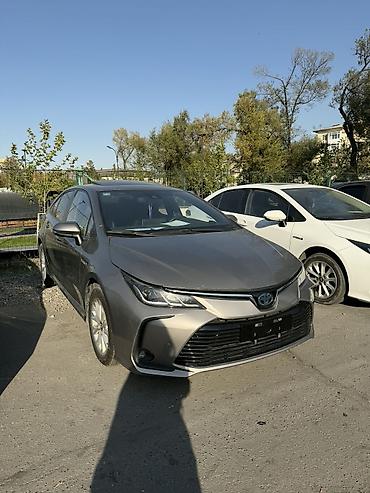 honda corolla: Toyota Corolla: 2020 г., 1.8 л, Вариатор, Гибрид, Седан — 10