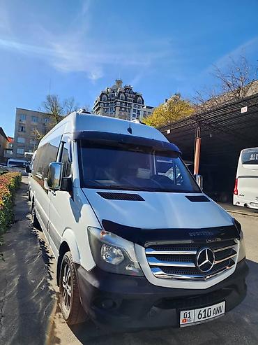 sprinter 516: Пункт назначения: Алматы, Количество мест: 20, Лицензия №: 247383 — 8
