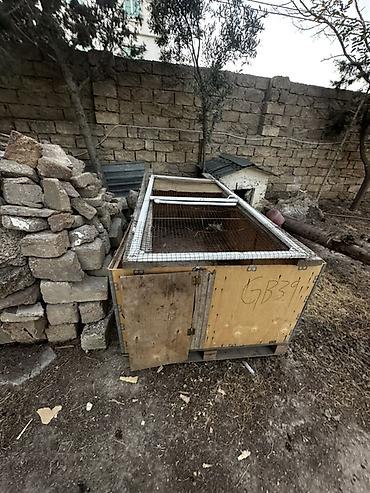 bilecerde evler: Kupça, çıxarışı var Meşə zolağına bitişik, geniş həyəti olan bağ evi — 7