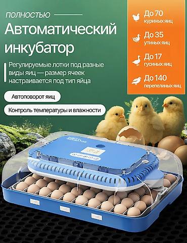 инкубационный: Инкубатор на 70 яиц #Инкубатор #Инкубатор #ИнкубаторДляЯиц — 1
