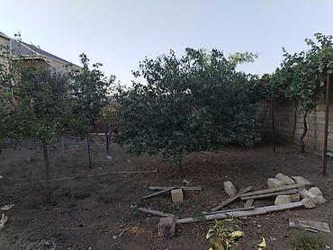 Həyət evləri və villaların satışı: 7 otaqlı, 156 kv. m, Təmirsiz — 24