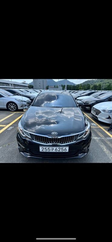 тюнинг киа к5: Kia K5: 2019 г., 2 л, Автомат, Газ, Седан