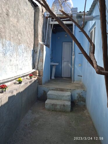 Həyət evləri və villaların satışı: Üstüörtülü talvarı olan həyət evi üzüm çardağı, - Talvar: metal -da lalafo.az — 7 Həyət evləri və villaların satışı: Üstüörtülü talvarı olan həyət evi üzüm çardağı, - Talvar: metal — 7