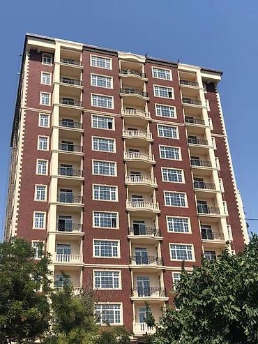rayon: 3 otaqlı, Yeni tikili, m. Gənclik, 133 kv. m — 1