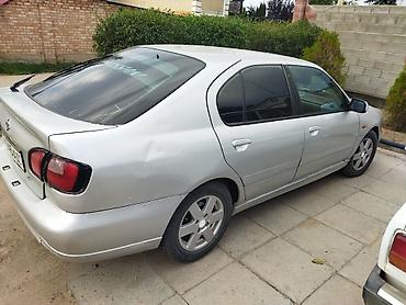 santa crus: Nissan Primera: 2001 г., 1.6 л, Механика, Бензин, Хэтчбэк — 5