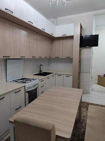 Долгосрочная аренда квартир: 1 комната, С мебелью полностью — 4