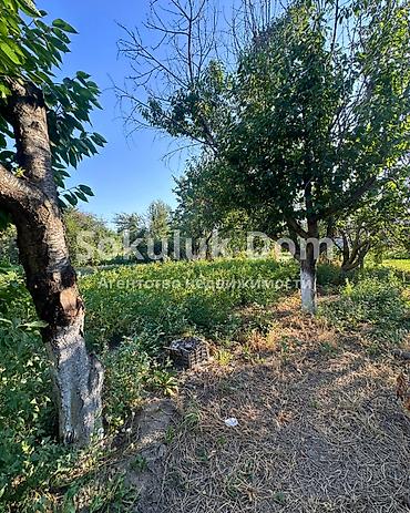 у реки: 🏠Продается дом в с. Гавриловка 🟡Комнаты: 4 🟡Участок: 8 соток — 4