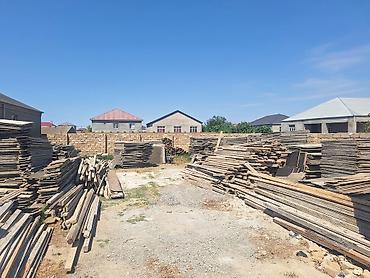 Другое: Dik taxda satlır ünvan Binə savxoz — 2