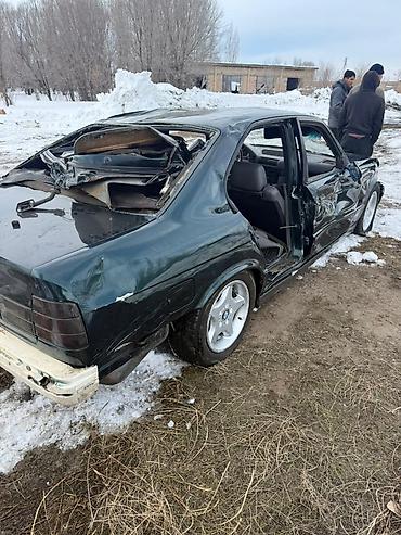 BMW: BMW 5 series: 1994 г., 3 л, Ручные, Седан — 10