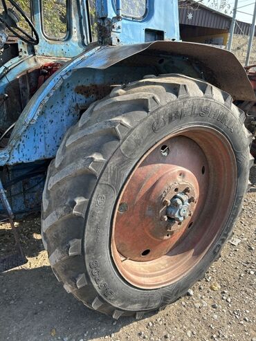 Traktorlar: Traktor Belarus (MTZ) MTZ80 1989 il, 80 at gücü, motor 8 l, İşlənmiş — 8