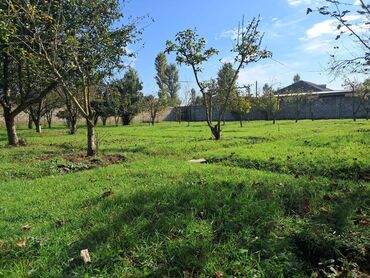 Bağ evlərinin satışı: Xaçmaz, 2 kv. m, 1 otaqlı, Hovuzsuz, Qaz, Su, İşıq — 15