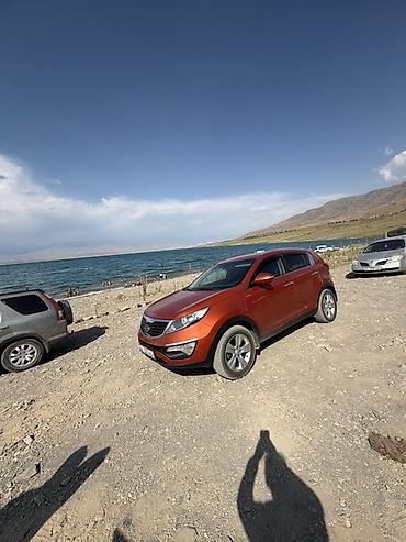 e klass: Kia Sportage: 2010 г., 2 л, Автомат, Бензин, Кроссовер — 3