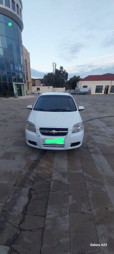 zincir teker: Chevrolet Aveo: 1.4 l | 2010 il 331560 km Sedan