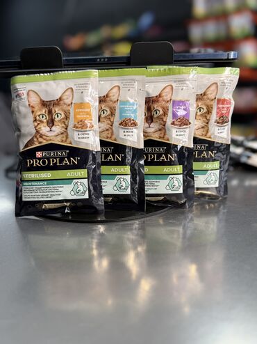 купить корм акана для кошек: Влажный корм ProPlan в паучах все виды бесплатная доставка по г