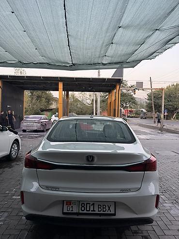 чатар: Changan Eado Plus: 2025 г., Автомат, Электромобиль, Седан — 10