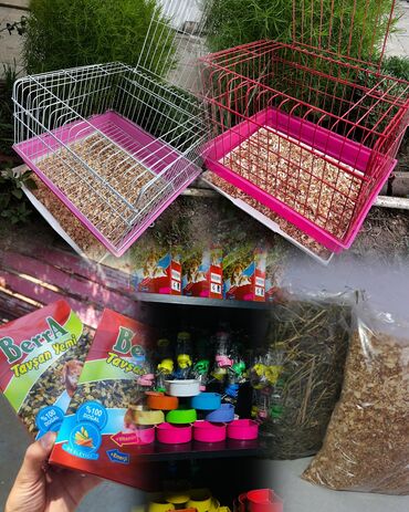 Qəfəslər: Etrafli vp 051 494 09 86 Qefeslerin her biri satişda var qefes bitende — 2