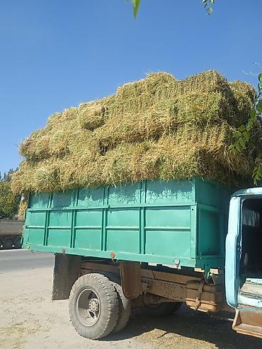 зелёный корм: Сено в тюках - Натуральное луговое сено, прессованное в прямоугольные — 1