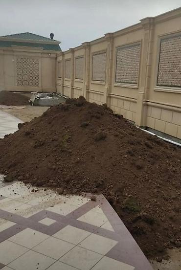 təbii bal satışı: Qara torpaq İsmayıllı, Şamaxı, Mərəzə rayonları ərazisindən istəyə — 3