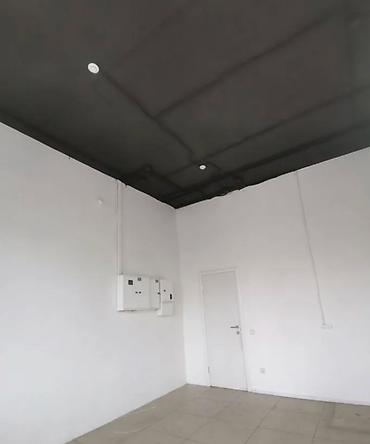 surface restorer: Шлифовка паркета 3-5 лет опыта — 3