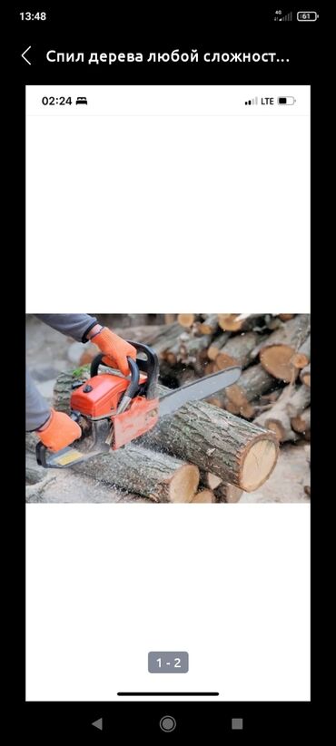 дрова куплю: Пилю деревья любой сложности
