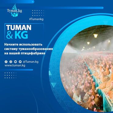 система туман: 🌟 Начните использовать систему туманообразования на вашей