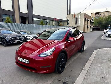 tesla p40: Tesla Model Y: 2020 г., Электромобиль, Кроссовер — 1