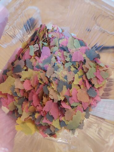 Akvariumlar: Dördbucaq akvarium, Balıqlarla birlikdə, 40 l, Ünvandan götürmə — 8