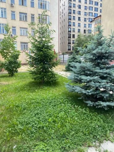 квартира нижная ала арча: 3 бөлмө, 138 кв. м, Элитка, 4 кабат, Евроремонт