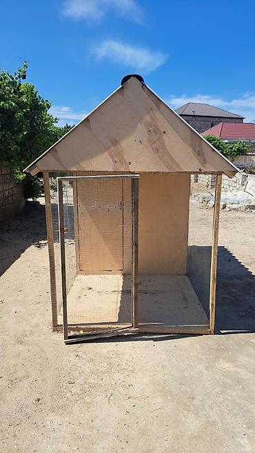cucə yuvası: Taxta toyuq/heyvan yuvası və açıq volyer - Material: kontrplak və — 1