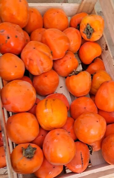 Meyvə və giləmeyvə: Məhsul: Öz bağımızdan Xurma . Ağdaş Xurması. Qiyməti - 0.70. Çox — 6