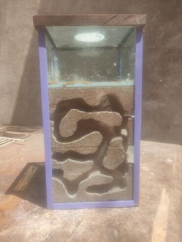 Heyvanlar üçün digər mallar: Hər ölçüdə hər dizaynda qarışqa yuvaları yığılır səliqəli və təmiz — 25