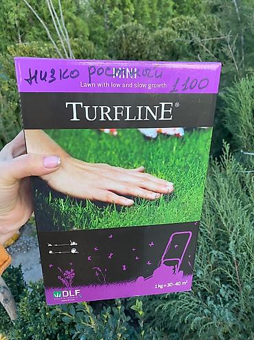 Газон: Газон газоны спорт низко рослый солнечный теневой универсальный — 2