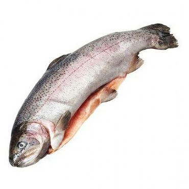 Мясо, рыба, птица: Замороженная в шоковой заморозке радужная форель цена 340 сомов за кг