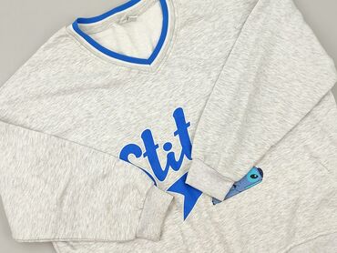 abercrombie and fitch t shirty: Disney, Women`s sweatshirt, size L (EU 40)