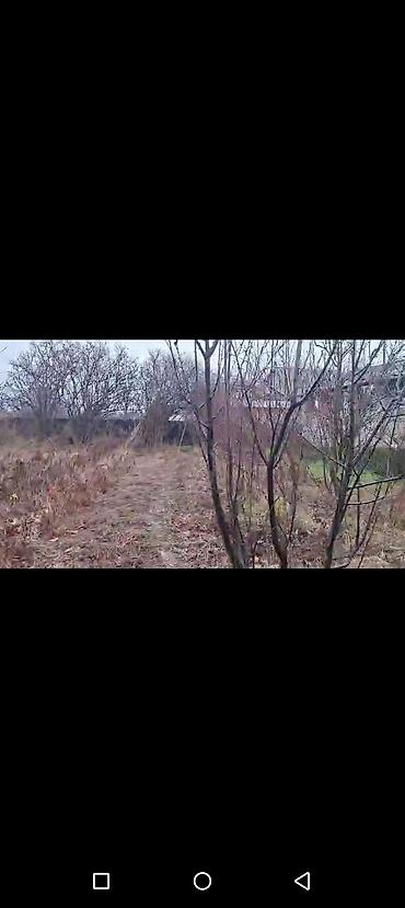 Torpaq sahələrinin satışı: Mingəçevir Havarlı kəndində 14 sot torpaq sahasi satılır sənədi qanuni -da lalafo.az — 11 Torpaq sahələrinin satışı: Mingəçevir Havarlı kəndində 14 sot torpaq sahasi satılır sənədi qanuni — 11