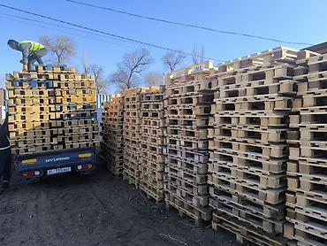 Поддоны: Поддон В наличии — 1