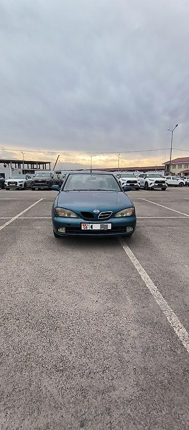 Продажа авто: Nissan Primera: 2002 г., 2 л, Механика, Дизель, Седан — 3