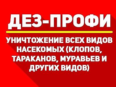 талоны: Дезинфекция, дезинсекция, | Блохи, Вирусы, микробы, Клопы, | Офисы, Дома, Квартиры — 5