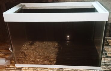 qrunt: Dördbucaq akvarium, Boş, 10 l, Ünvandan götürmə, Pulsuz çatdırılma, Ödənişli çatdırılma