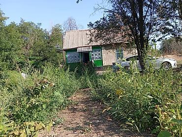 черная речка: Продаётся дом с приусадебным участком 52 сотых в зелёном тихом месте — 9