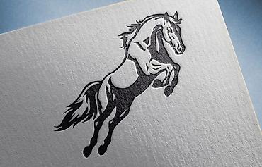 Графические дизайнеры: Графический дизайнер — 13