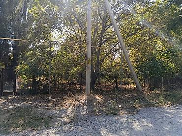 Дом с участком и садом - Жилой одноэтажный дом из блоков с at lalafo.kg Дом с участком и садом - Жилой одноэтажный дом из блоков с
