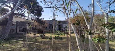 Torpaq sahələrinin satışı: 6 sot, Biznes üçün, Mülkiyyətçi — 7