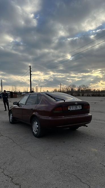 Toyota: Toyota Corolla: 1994 г., Дизель, Лифтбек — 4