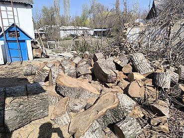 Дрова: Дрова Орех, Самовывоз — 2